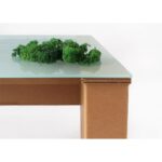 Pedra V - immagine 6