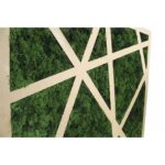 Rames 40 - immagine 3