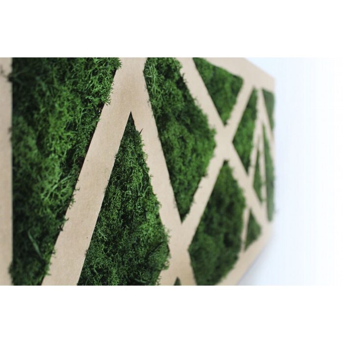 Rames 40 - immagine 2