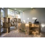 esempio di realizzazione banco cassa in cartone componibile- Erpice L