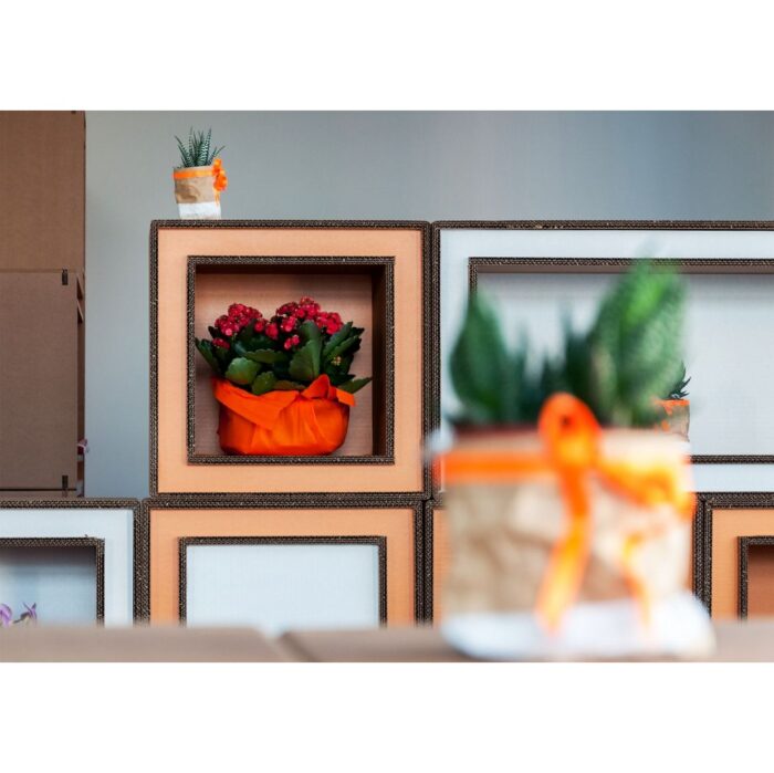 Granati A - immagine 5