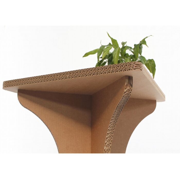 Cadini R - immagine 4