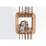 Grostè - immagine 4